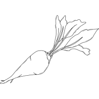 Anasayfa Anasayfa